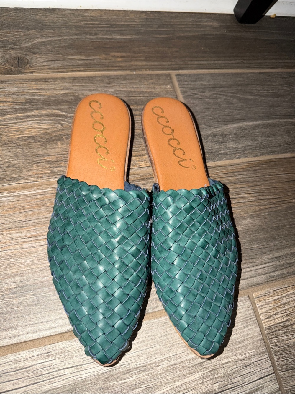 CCOCCI Teal Woven Pointed Toe Slide Mules